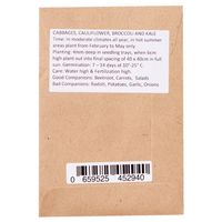 Sandveld Seeds Cauliflower Neckarperle